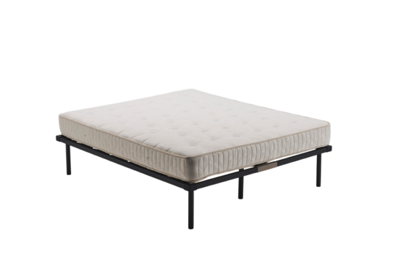 BED NET